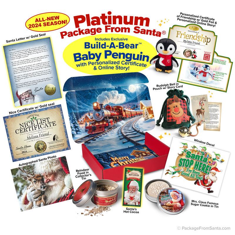 PLATINUM Package From Santa w/ Bonus Gifts